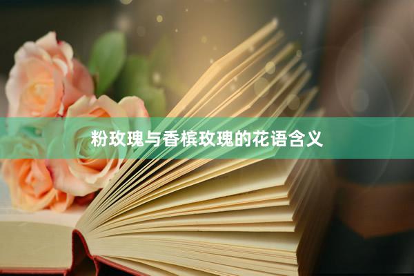 粉玫瑰与香槟玫瑰的花语含义