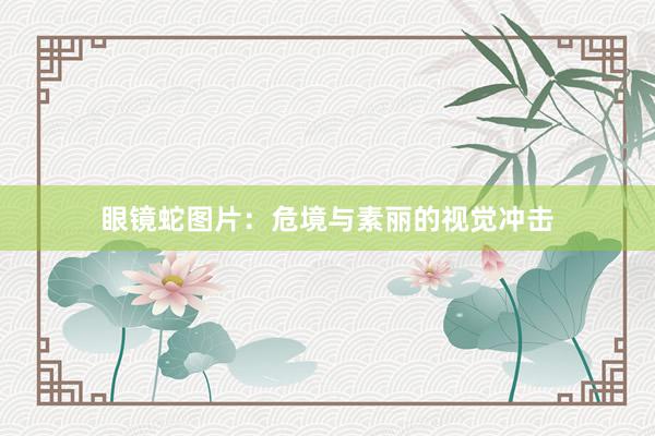眼镜蛇图片：危境与素丽的视觉冲击