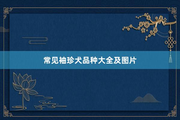 常见袖珍犬品种大全及图片