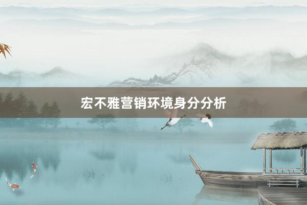 宏不雅营销环境身分分析